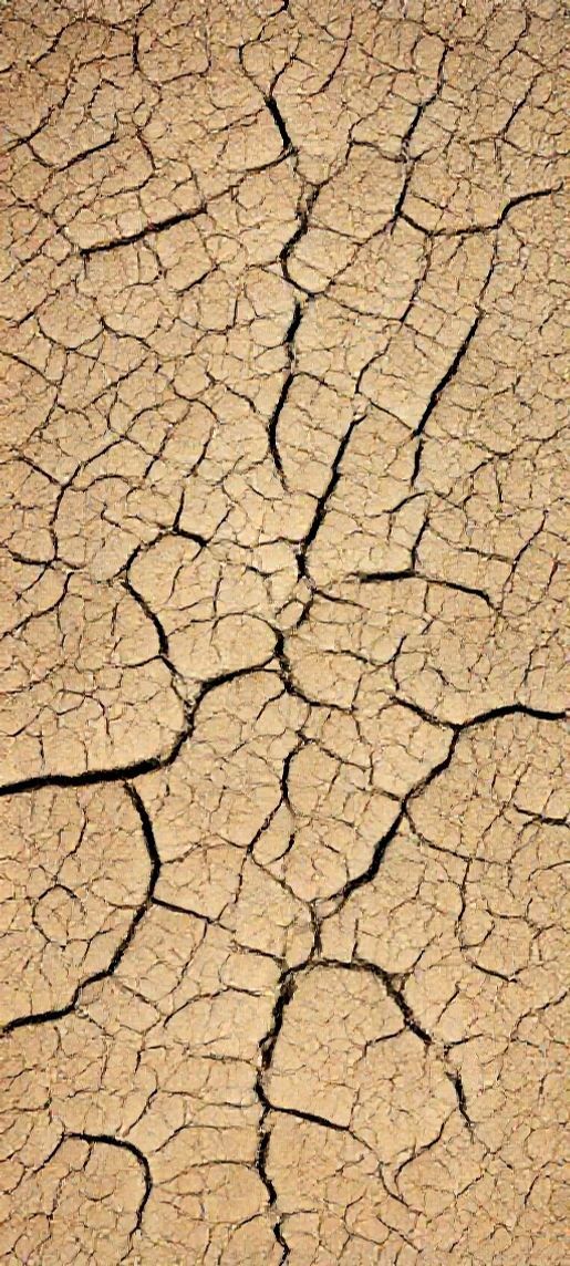 Cracked Earth Drought Pattern Texture Photorealistic Wallpaper