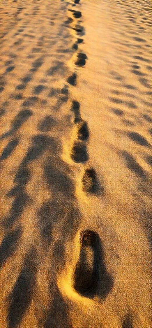 Summer Beach Golden Hour Footprints Photorealistic Wallpaper
