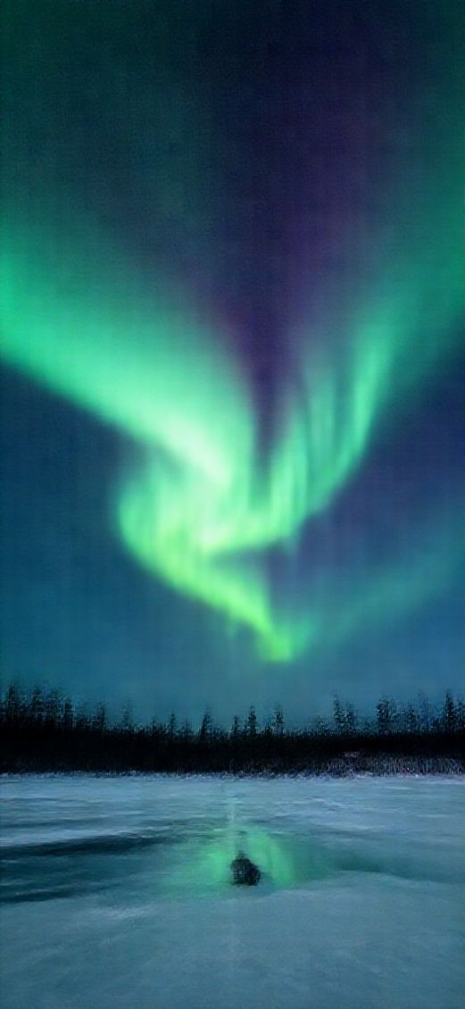 Winter Northern Lights Over Frozen Photorealistic Wallpaper