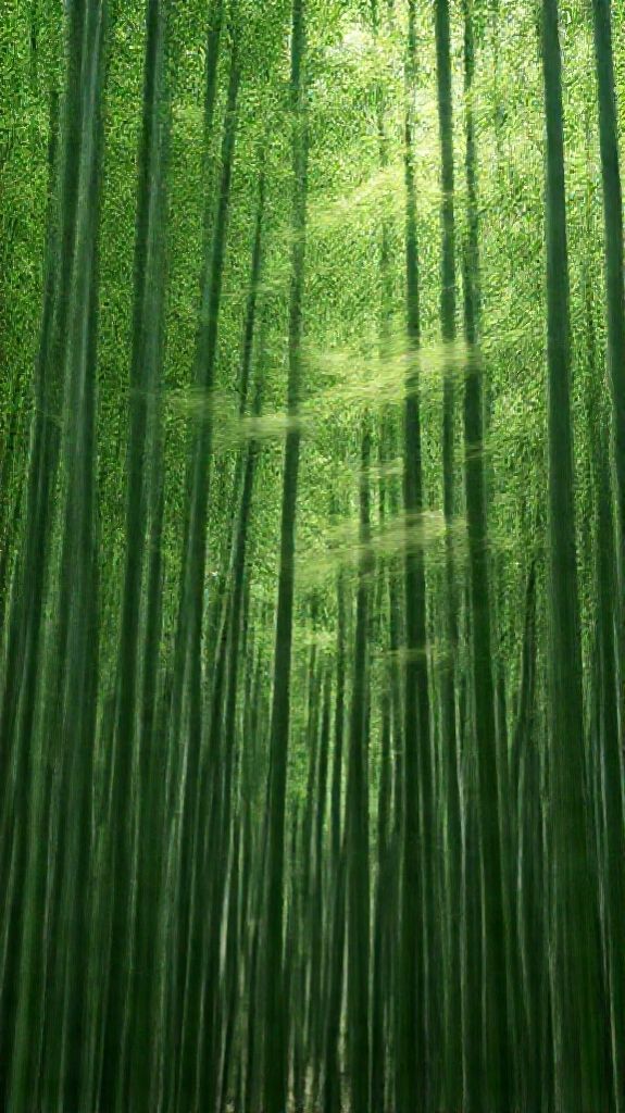 Bamboo Grove Swaying In Wind Minimalist Wallpaper