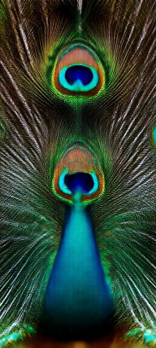 Crisp Peacock Macro Eye Photorealistic Wallpaper