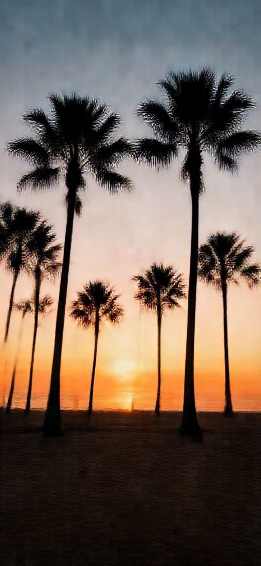 Romantic Sunset Beach Silhouette Palm Photorealistic Wallpaper