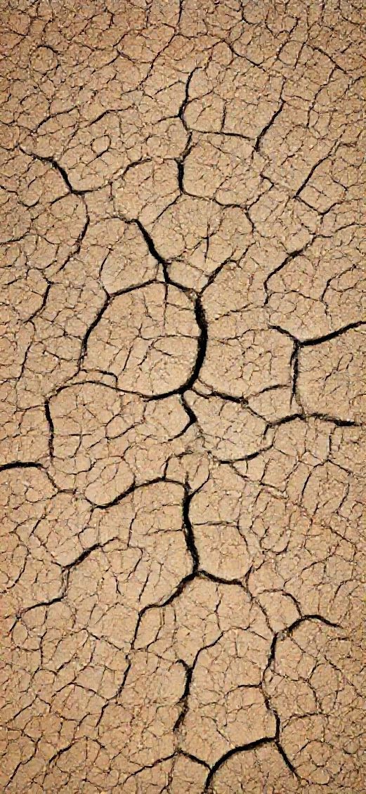 Primal Cracked Earth Drought Pattern Texture Wallpaper