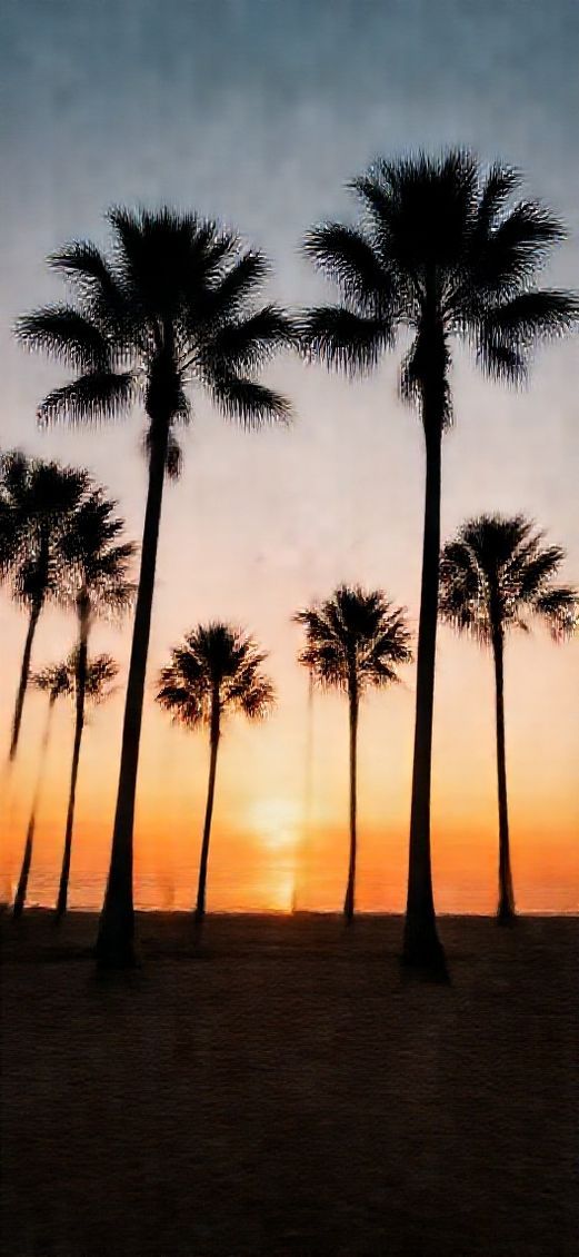 Magnetic Palm Silhouette Beach Sunset Photorealistic Wallpaper