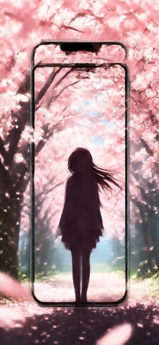 Anime Frozen Cherry Blossom Petals Wallpaper