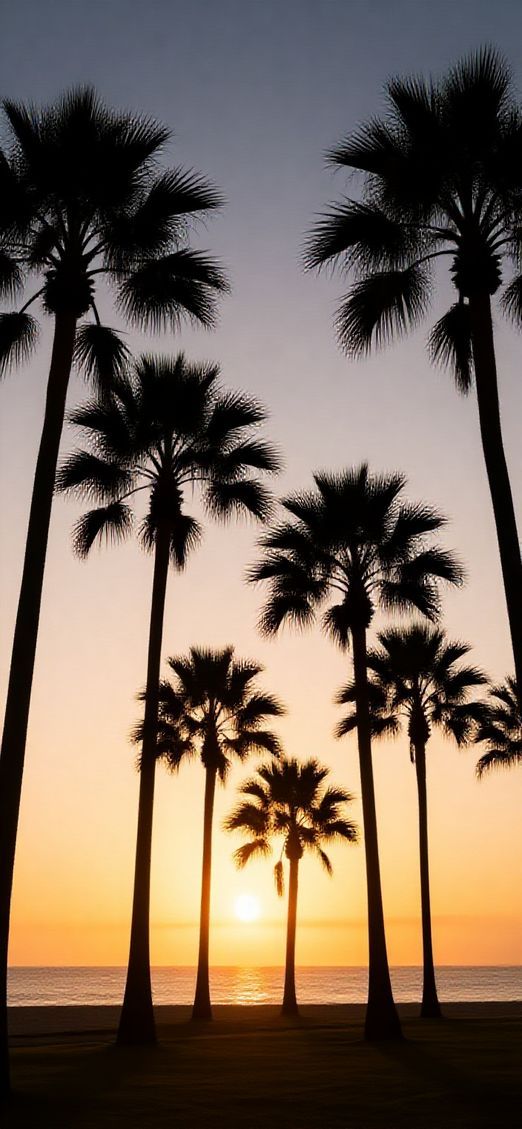 Enchanting Sunset Beach Silhouette Palm Trees Wallpaper