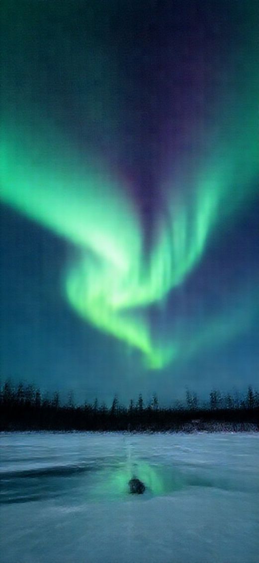 Winter Northern Lights Over Frozen Photorealistic Wallpaper