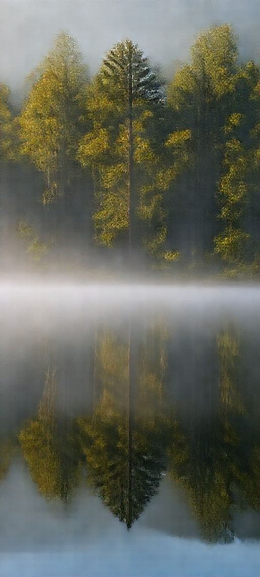 Morning Mist Over Still Lake Photorealistic Wallpaper