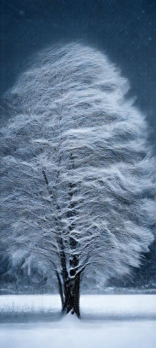 Blizzard Snow Wind Trees Bending Photorealistic Wallpaper