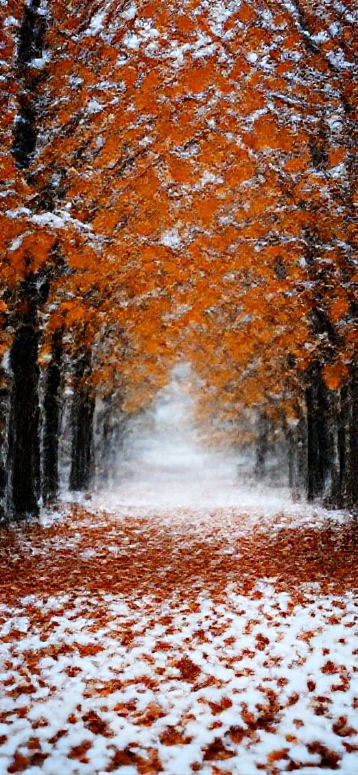First Snow Falling On Autumn Photorealistic Wallpaper