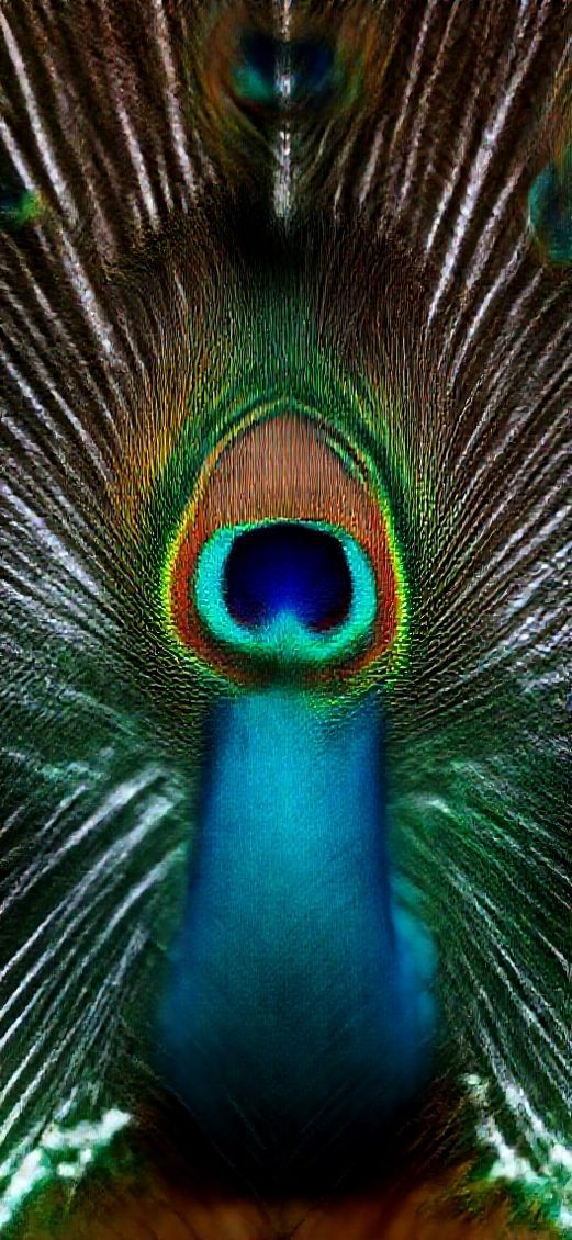 Peacock Feather Macro Iridescent Eye Photorealistic Wallpaper