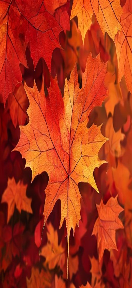 Supreme Autumn Leaves Falling Maple Photorealistic Wallpaper