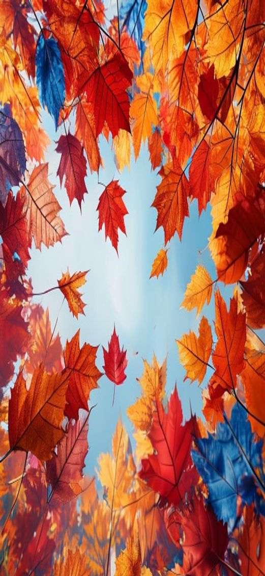 Noble Autumn Leaves Falling Maple Photorealistic Wallpaper
