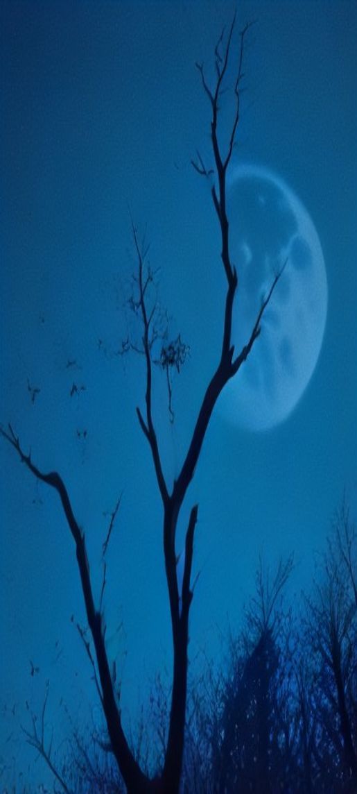 Ravens Dead Tree Branches Full Abstract Wallpaper