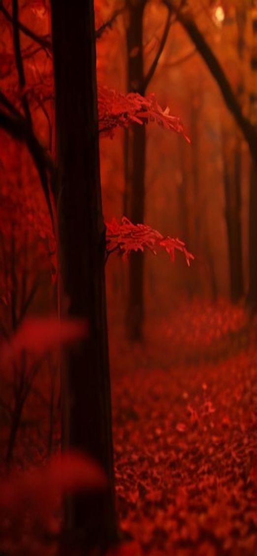 Radiant Autumn Leaves Falling Maple Photorealistic Wallpaper